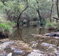 Homeleigh - Accommodation Daintree