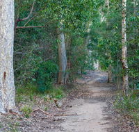 Delta track - Accommodation Daintree