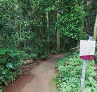 Walk with the Birds boardwalk - Accommodation Daintree
