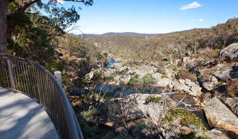 Wadbilliga National Park - Accommodation Daintree 0