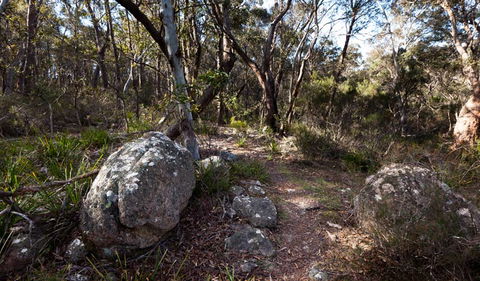 Wadbilliga National Park - Accommodation Daintree 2