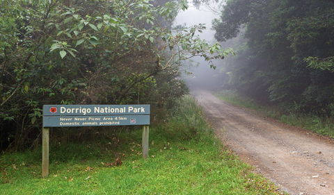 Never Never Picnic Area - Accommodation Daintree 3