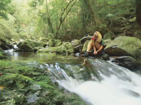 Lower Ballanjui Falls - Accommodation Daintree 0