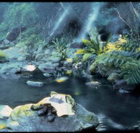 Coomera circuit - Accommodation Daintree