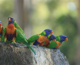 Murrayâ€™s Brewery And Port Stephens Winery - Accommodation Daintree 3