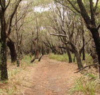 Pretty Beach to Snapper Point walking track - Accommodation Daintree