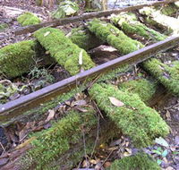 Wootton Historical Railway Walk - Accommodation Daintree