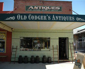 Coldstream NSW Accommodation Daintree