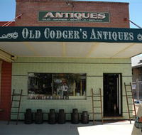 Old Codgers Antiques - Accommodation Daintree