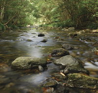 Plateau Circuit loop trail - Accommodation Daintree