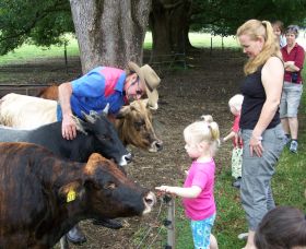 Crystal Creek NSW Accommodation Daintree