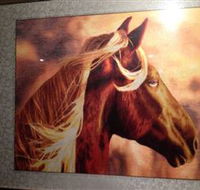 Silk Art Gallery - Accommodation Daintree