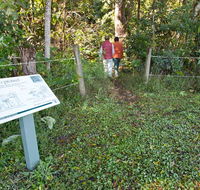 Coramba Nature Reserve - Accommodation Daintree