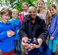 Wigay Aboriginal Culture Park - Accommodation Daintree