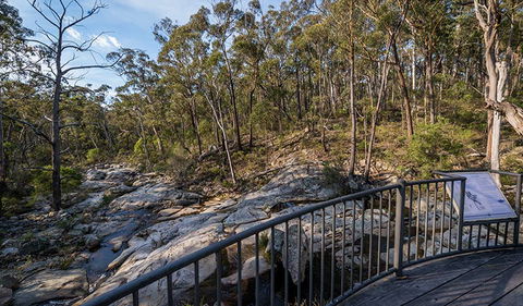 Myanba Gorge Walking Track - Accommodation Daintree 0