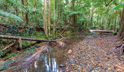 Ulidarra National Park - Accommodation Daintree 0