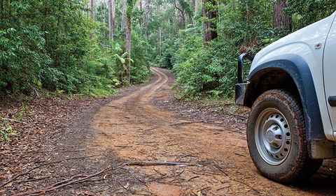 Ulidarra National Park - Accommodation Daintree 2