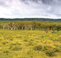 Yuraygir National Park - Accommodation Daintree
