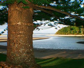 Moonee Beach - Accommodation Daintree 1