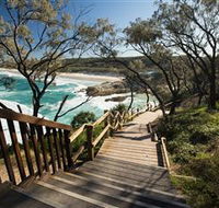 North Gorge Walk - Accommodation Daintree