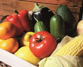 Summerland House Farm - House With No Steps - Accommodation Daintree 1