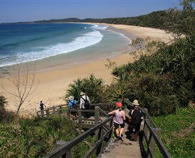 Wooli NSW Accommodation Daintree