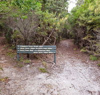 Angophora grove walking track - Accommodation Daintree