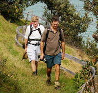 Illaroo to Wooli walking track - Accommodation Daintree