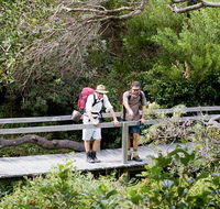 Wilsons Headland walking track - Accommodation Daintree