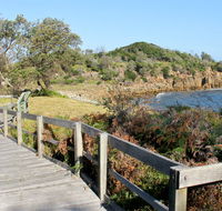 Mimosa Rocks walking track - Accommodation Daintree