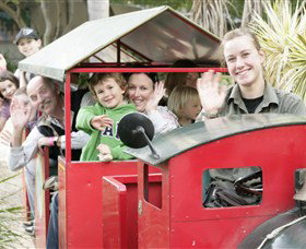 Macadamia Castle - Accommodation Daintree 3