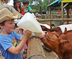 Macadamia Castle - Accommodation Daintree 5