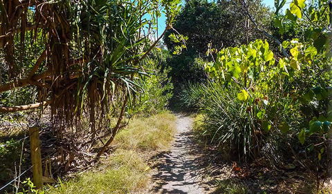 North Head Walking Track - Accommodation Daintree 0