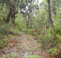 Kinchela Trig Lookout walk - Accommodation Daintree