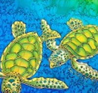 Sea Silks Gallery - Accommodation Daintree