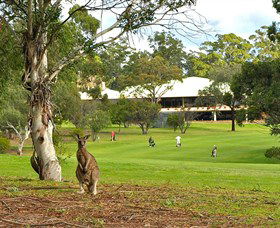 Pambula Merimbula Golf Club - Accommodation Daintree 0