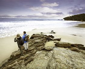 Wilderness Coast Walk - Accommodation Daintree 0
