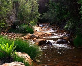 Hellyer Gorge - Accommodation Daintree 1