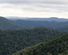 Whyte Hills Lookout - Accommodation Daintree 1
