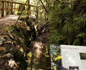 Philosopher Falls - Accommodation Daintree 1
