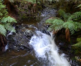 Philosopher Falls - Accommodation Daintree 4