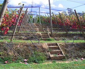 Motton Terraces - Accommodation Daintree 2