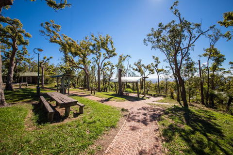 Rockhampton To Carnarvon Gorge Four Night Drive - Accommodation Daintree 1
