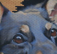 Visit Benalla Tours - Accommodation Daintree