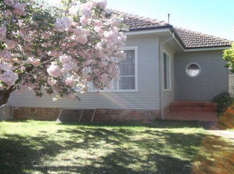 Magnolia Corner - Accommodation Daintree 4