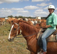 Myella Farm Stay Tours - Accommodation Daintree