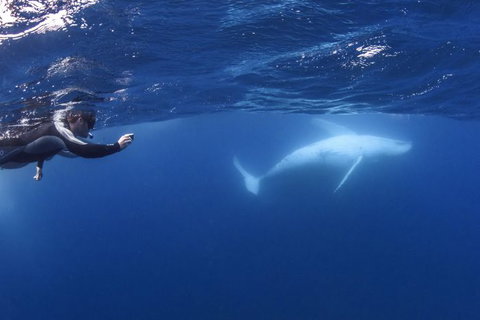 Sunreef Mooloolaba - Accommodation Daintree 0