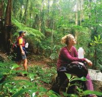 Ships Stern circuit - Accommodation Daintree