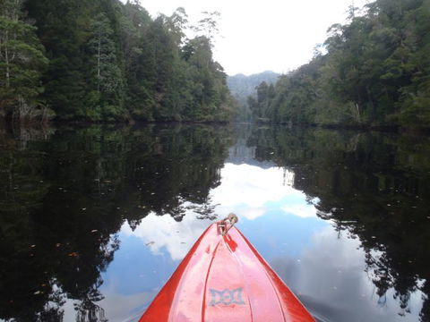 King River Rafting - Accommodation Daintree 1