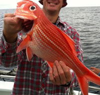 Goin' Off Safaris - Accommodation Daintree